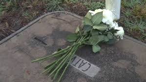 Victoria L. Bailey and Brooke D. Boulanger Obituary Car Accident, Walker Township, PA / Wisconsin Death: Pennsylvania and Wisconsin in Grief Following Fatal Weekend Crashes